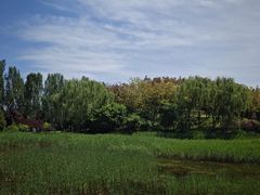 -北坞公园