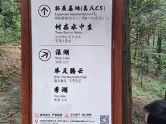 -四明山国家森林公园