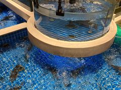 -渔人码头(中南店)