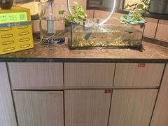 -小菜园新徽菜(常州金坛吾悦店)