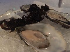 顶级精选生蚝-广州四季酒店·佰鲜汇·现代法餐