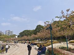 -新江湾城公园