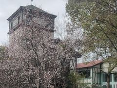 -得丘礼享谷·玉兰苑