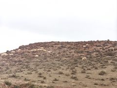 -张掖平山湖大峡谷景区