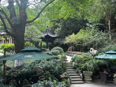 -十八棵（老龙井）御茶园(老龙井店)