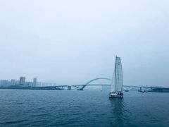 -海豚湾扬帆出海帆船游艇