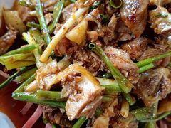 何氏凉拌鸡-天回镇何氏豆腐(总店)