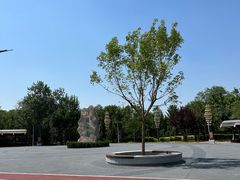-绿堤公园