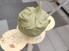 -野人先生现做冰淇淋(西安赛格店)