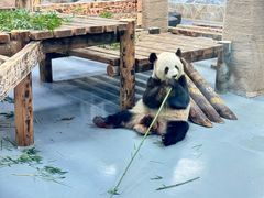 -无锡动物园·太湖欢乐园