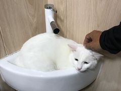 -恒幸动物医院·急重症转诊中心·神经内外科·CT核磁
