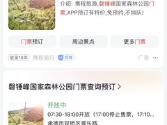 -磬锤峰森林公园