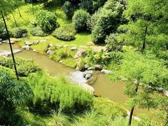 -云溪植物园
