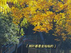 -柯岩风景区