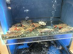 -赶海部落海鲜城(海阳路店)