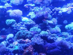 -太平洋海底世界