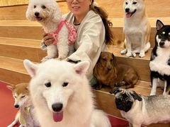-和它·交个朋友·狗咖猫咖(爱琴海店)