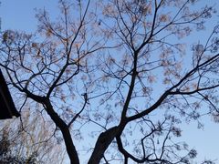 -天目湖涵田半山温泉