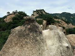 -大岭沟猕猴桃谷风景区