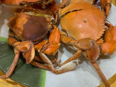 -宏佳丰味蟹馆(洛溪店)