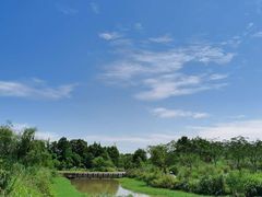 -桤木河湿地公园