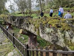 -唐崖土司城遗址