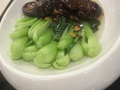 -蓝天清水湾国际大酒店