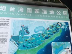 -吴淞炮台湾湿地森林公园烧烤区
