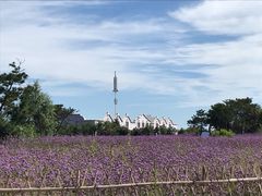 -渔岛海洋度假区