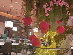 -阿露佳·舌尖上的安吉菜