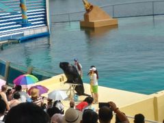 -秦皇岛乐岛海洋王国