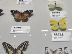 -四川大学博物馆