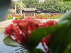 -荔湾湖公园