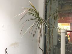 -Badmarket(庙前西街店)