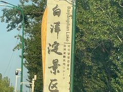 -白洋淀景区