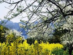 -樱桃山旅游景区