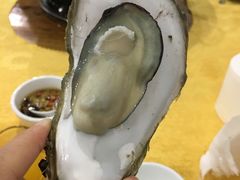 桑拿蚝-蚝专家(北滘店)
