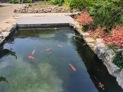 -上海大学(宝山校区)