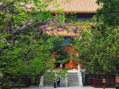 -北京国子监胡同