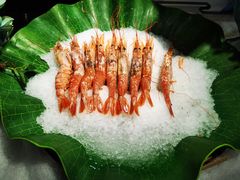 阿根廷红虾-福禧荟·海鲜自助