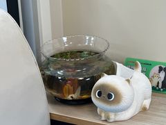 -美联众合爱康动物医院•复杂内科•肿瘤科•牙科•腔镜诊疗中心