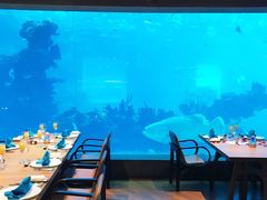 -海棠湾洲际-涛·海底餐厅·美人鱼·自助餐·海底隧道