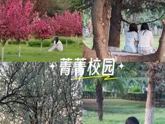 -西安外国语大学(长安校区)