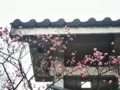 -无锡梅园公园