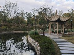 -中山公园