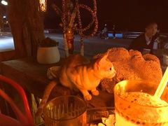 -城墙外BAR