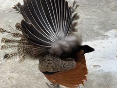 -金庭庄园酒店-停车场