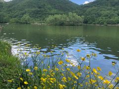 -玉渡山自然风景区