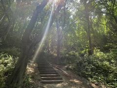 -杭州黄龙洞