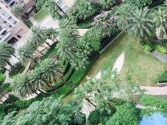 -维也纳国际酒店(深圳新洲店)